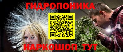 амф Пушкино