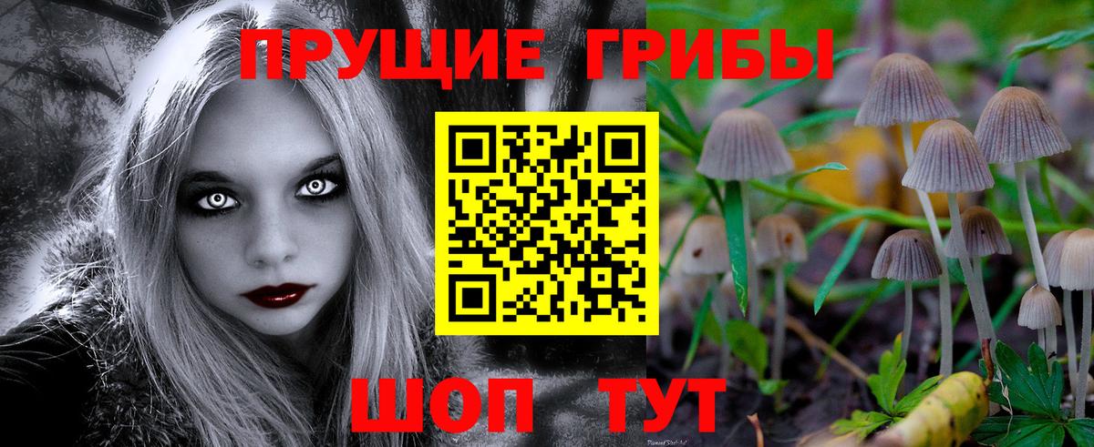 Прокопьевск  Псилоцибиновые грибы Psilocybine cubensis  Вход с VPN 