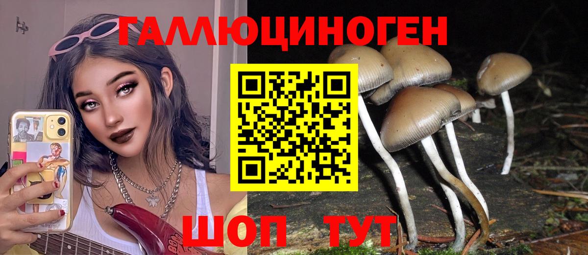 Галлюциногенные грибы прущие грибы Прокопьевск